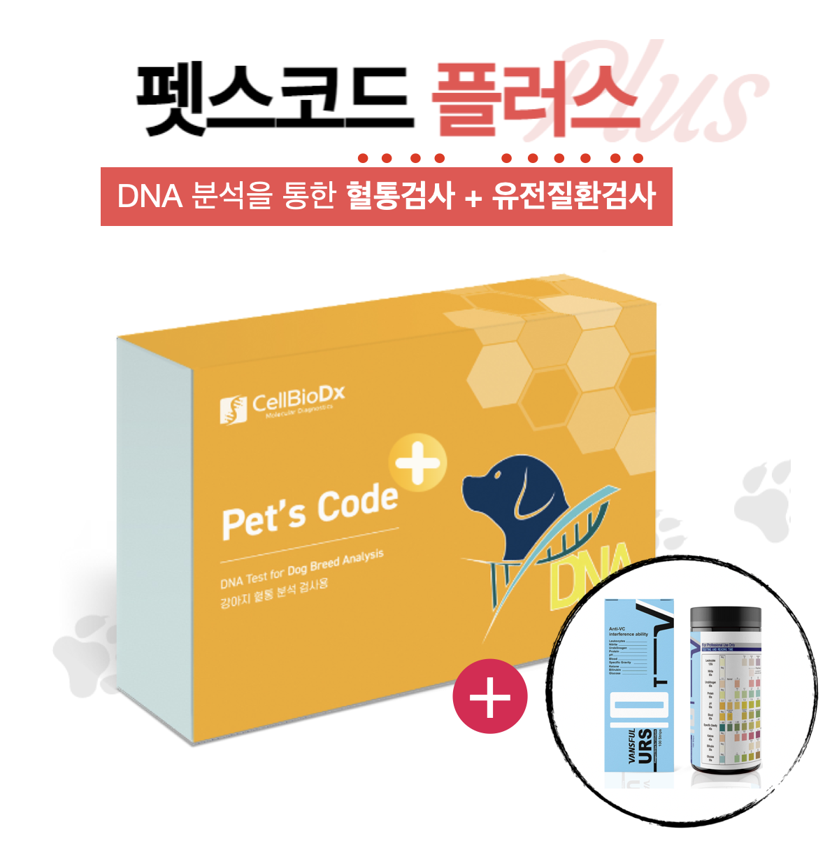 Pet's CODE PLUS (혈통 및 유전질환검사 키트)